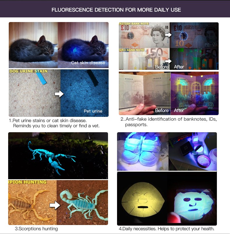 1723798818483387.jpg K9A5-EN_12.jpg